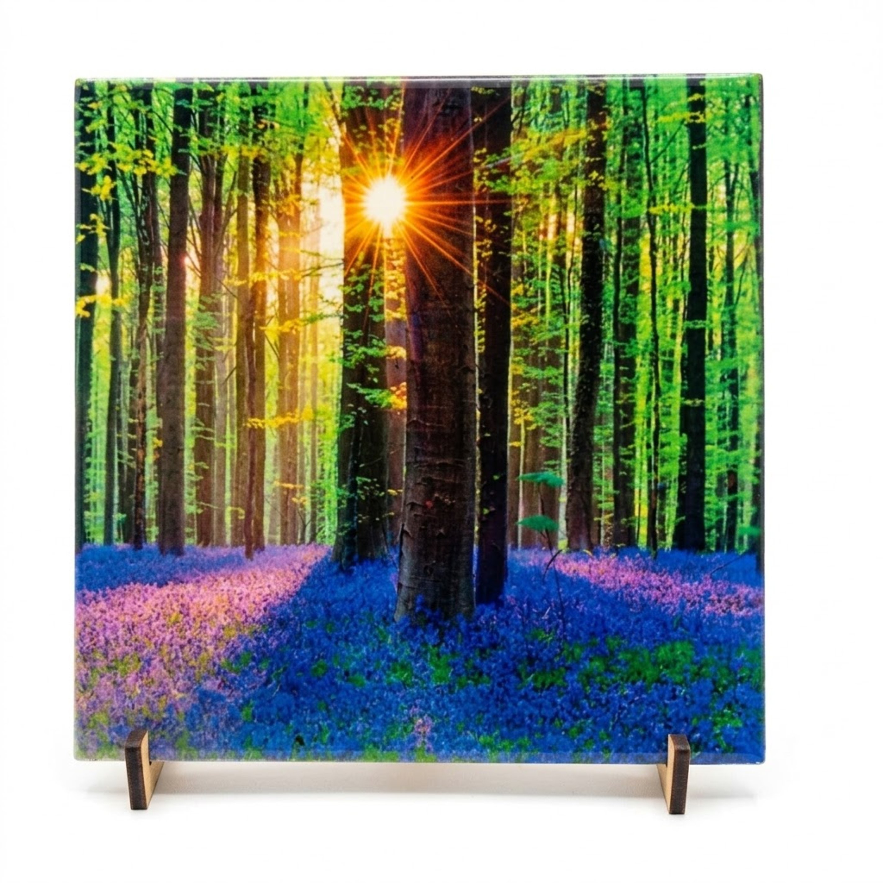 Azulejos personalizados 15X15